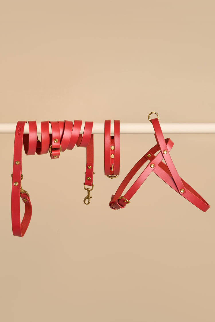 Red Leather Dog Collar, Hands-Free Leash and Harness Set - Aeris Classic
