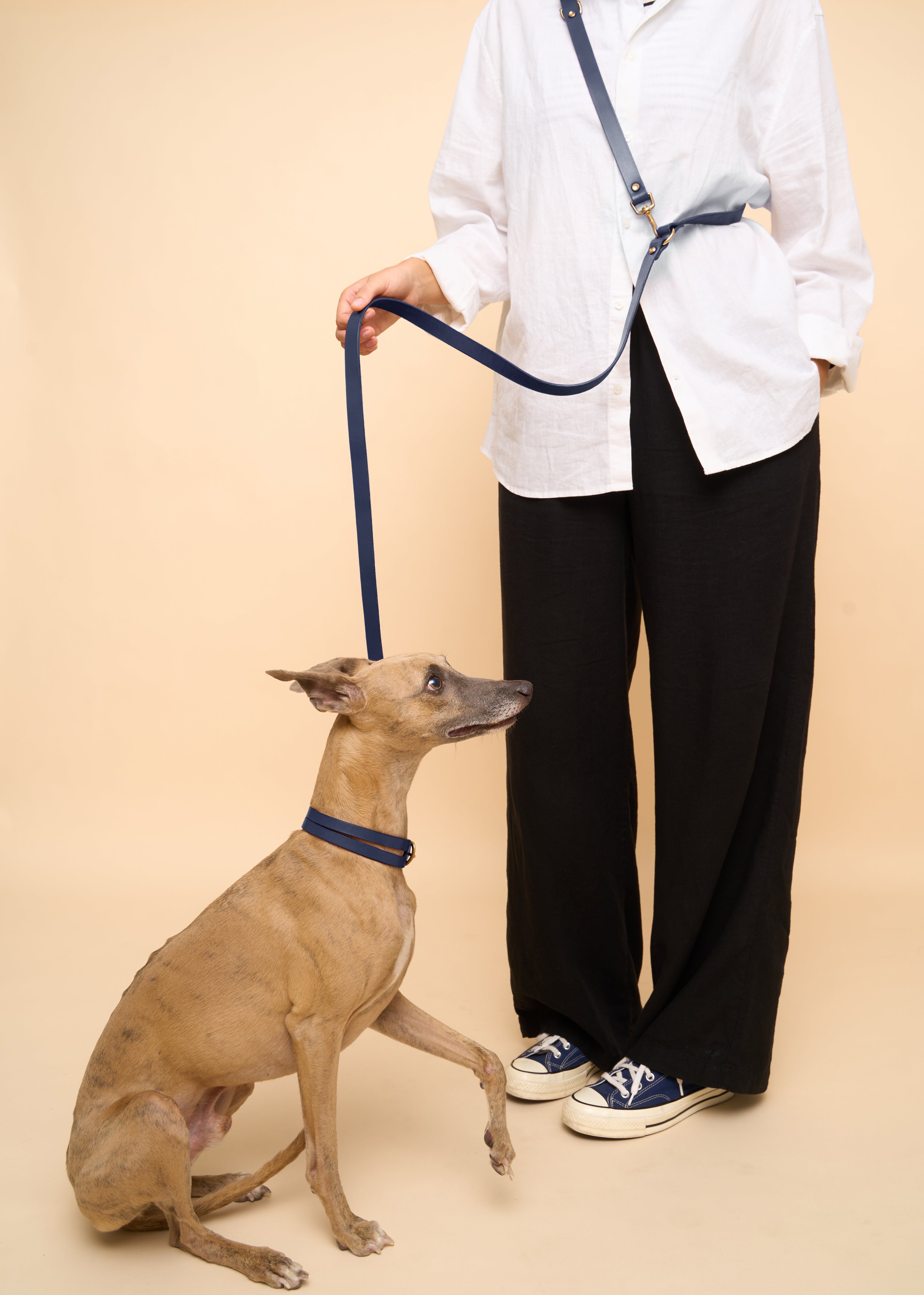 Aeris Classic Collar & Omni Leash in Blue