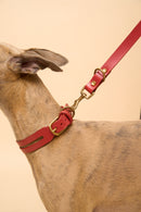 Aeris Classic Red Leather Dog Collar in use with Omni Red Leather Dog Leash, made from premium Italian leather for strength and comfort