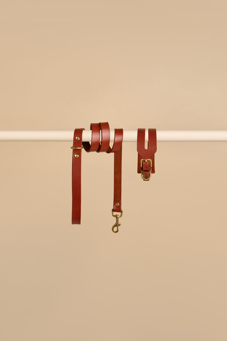 Wide Brown Leather Dog Collar and Leash Set - Aeris