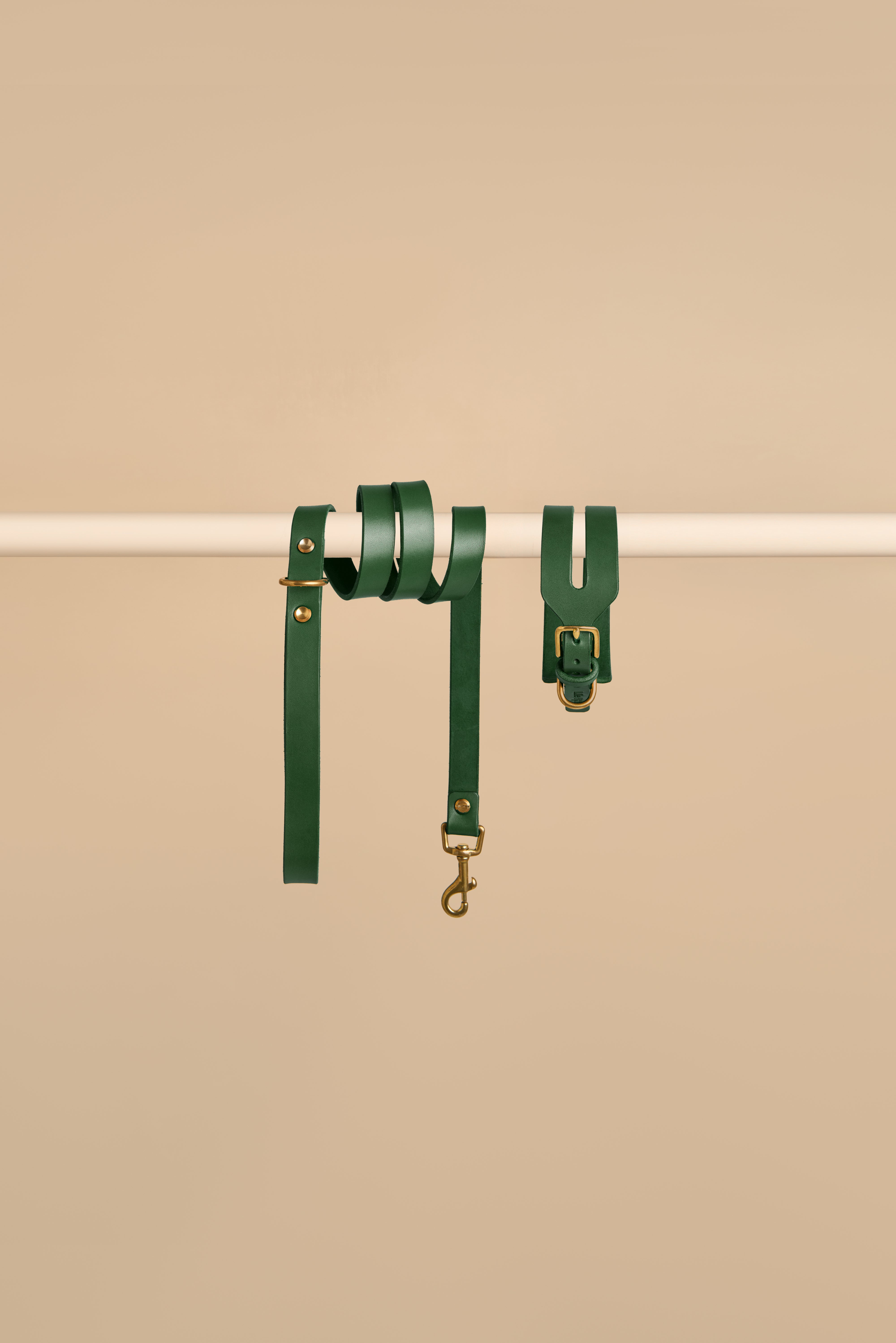 Aeris Wide Collar & Classic Leash in Green