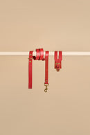 Aeris Wide Red Leather Dog Collar and Classic Red Leather Dog Leash Walk Kit crafted from premium Italian leather with a wide collar and durable brass hardware for a chic and strong accessory