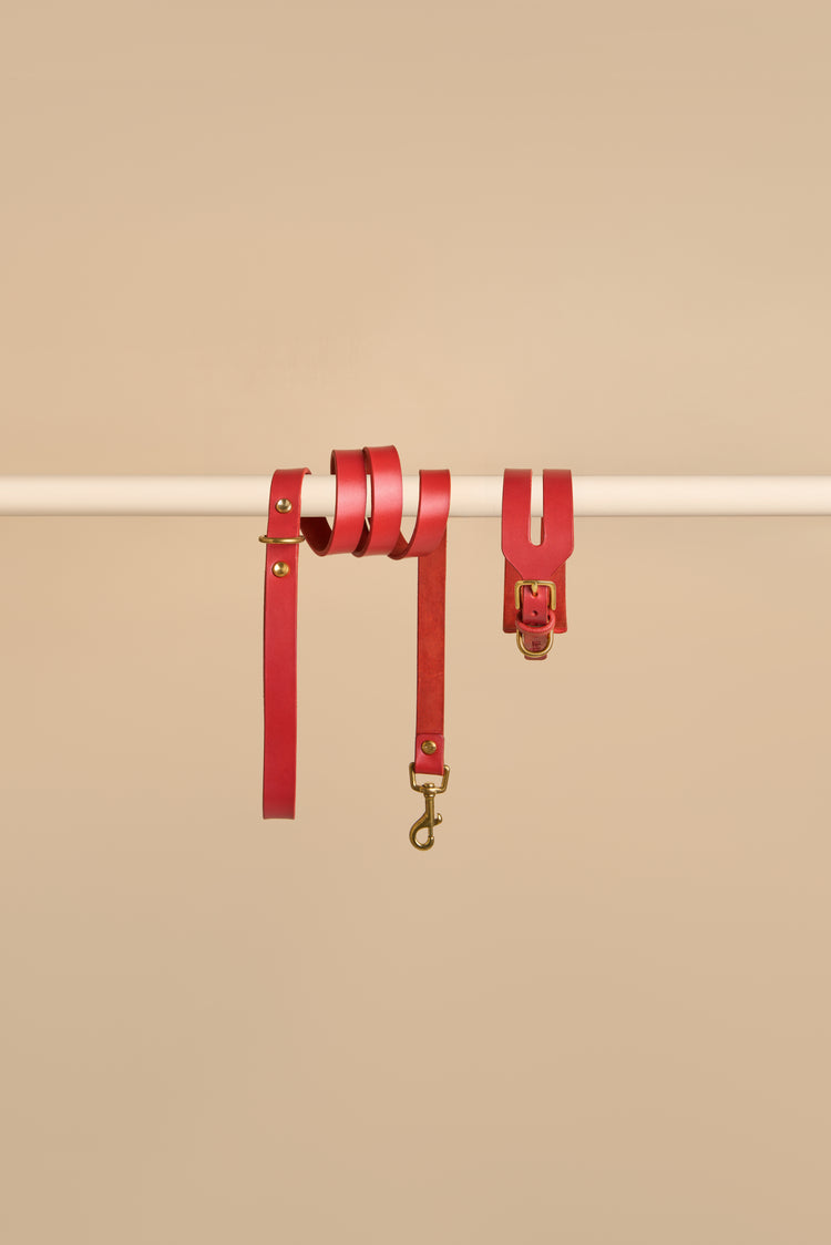 Wide Red Leather Dog Collar and Leash Set - Aeris