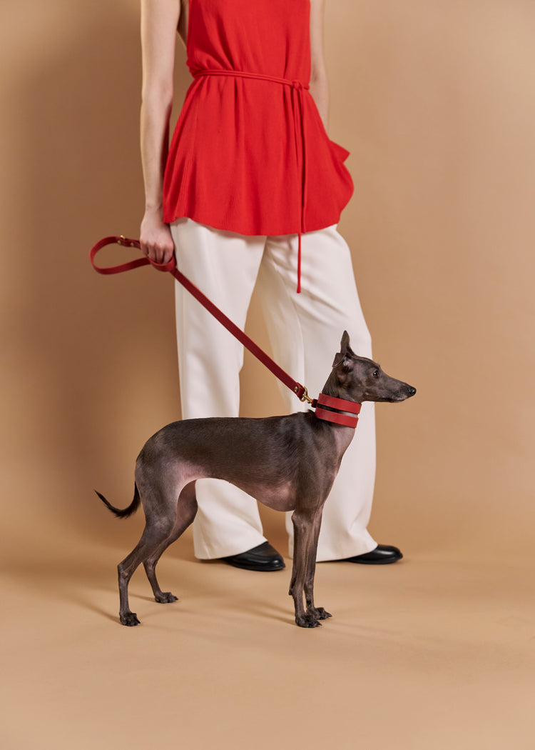 Wide Red Leather Dog Collar and Leash Set - Aeris