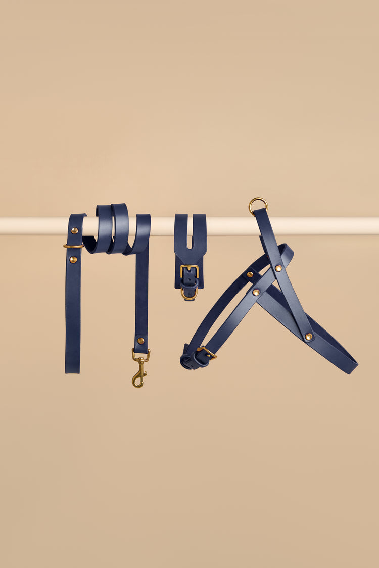 Wide Blue Leather Dog Collar, Leash and Harness Set - Aeris