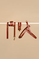 Aeris Wide cognac leather collar, Classic leash, and Vero harness - premium quality italian leather set for dogs