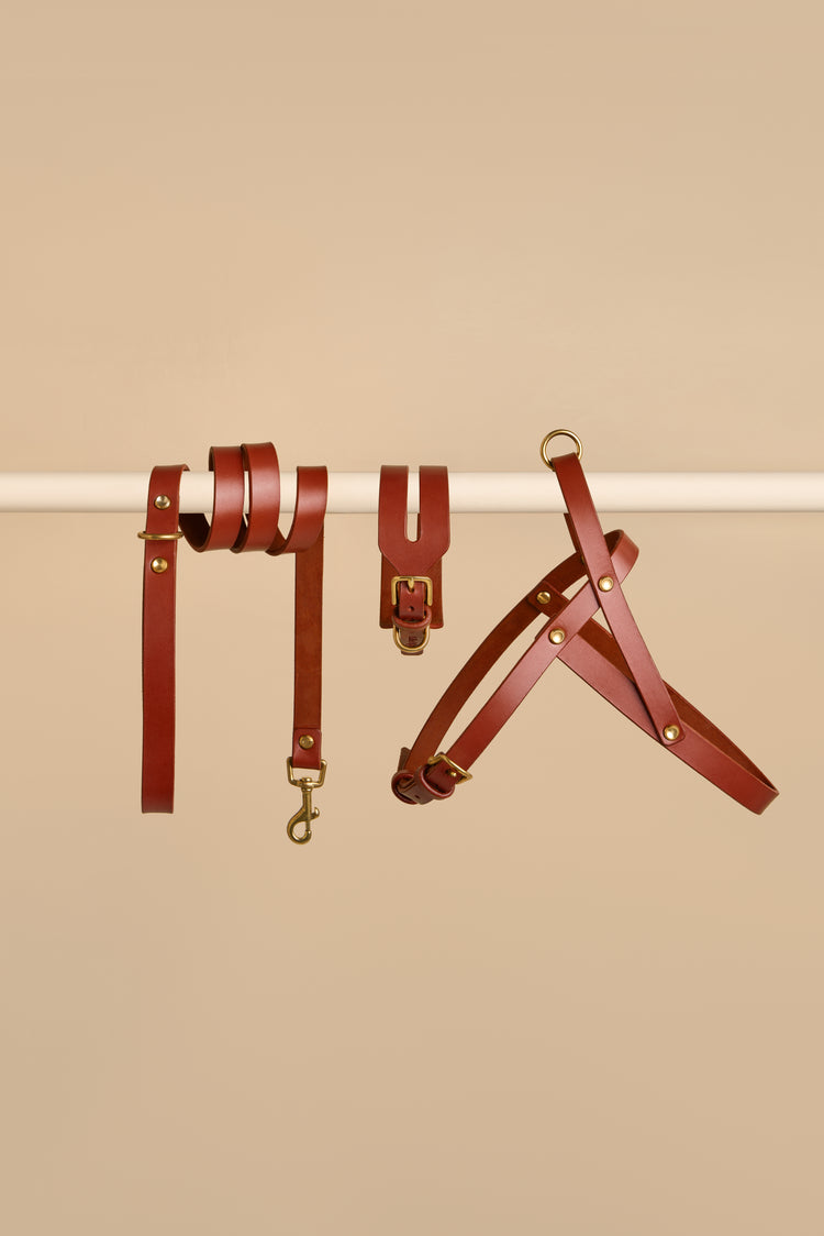 Wide Brown Leather Dog Collar, Leash and Harness Set - Aeris