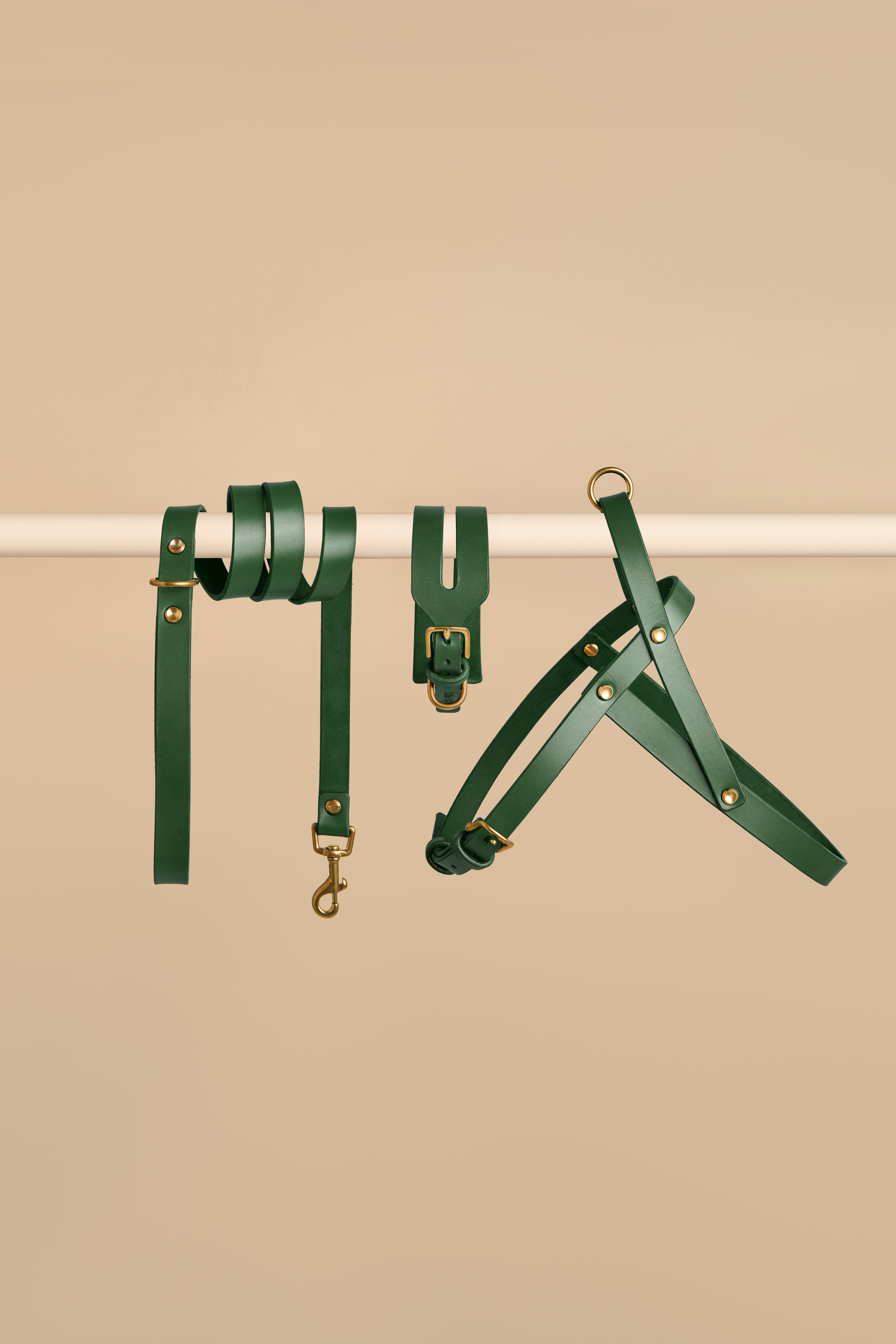 Aeris Wide Collar & Classic Leash & Vero Harness in Green