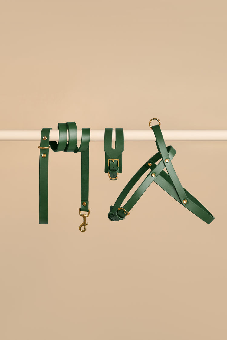 Wide Green Leather Dog Collar, Leash and Harness Set - Aeris