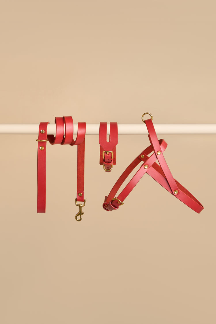 Wide Red Leather Dog Collar, Leash and Harness Set - Aeris