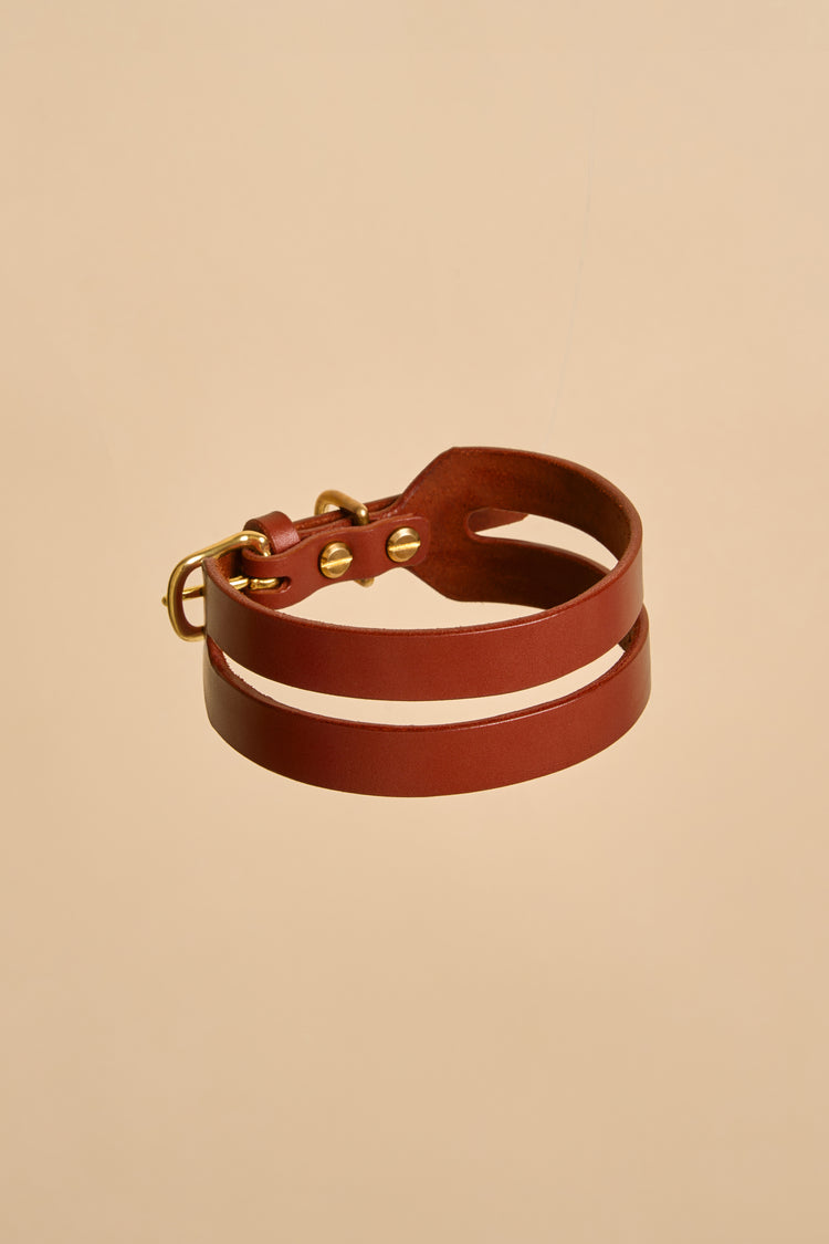 Wide Brown Leather Dog Collar - Aeris