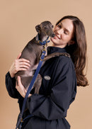 Aeris Wide dog collar paired with Omni Hnds-Free leash in blue