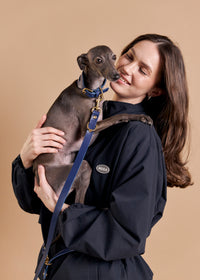 Aeris Wide dog collar paired with Omni Hnds-Free leash in blue