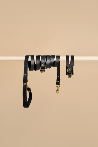 Black Wide Leather Dog Collar & Hands-Free Leash Set – The Lille Björn