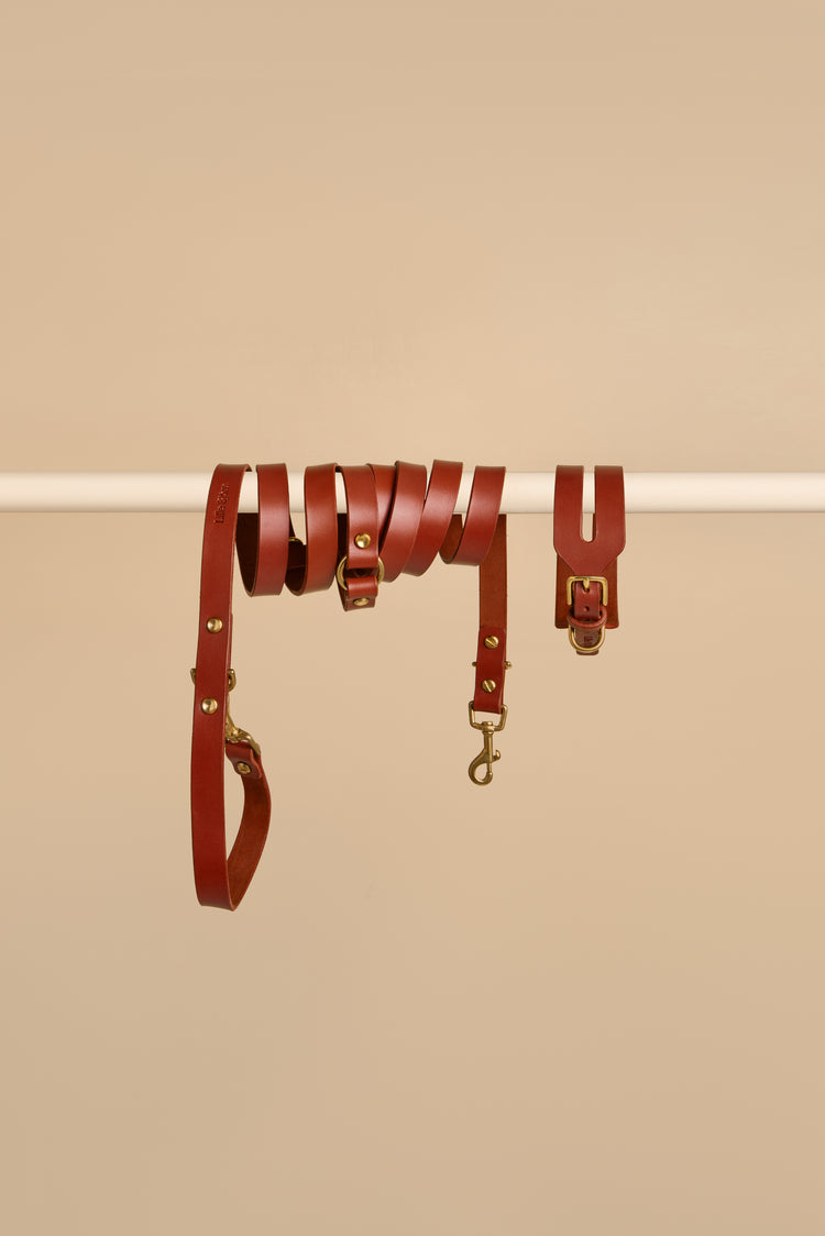Wide Brown Leather Dog Collar and Hands-Free Leash Set - Aeris