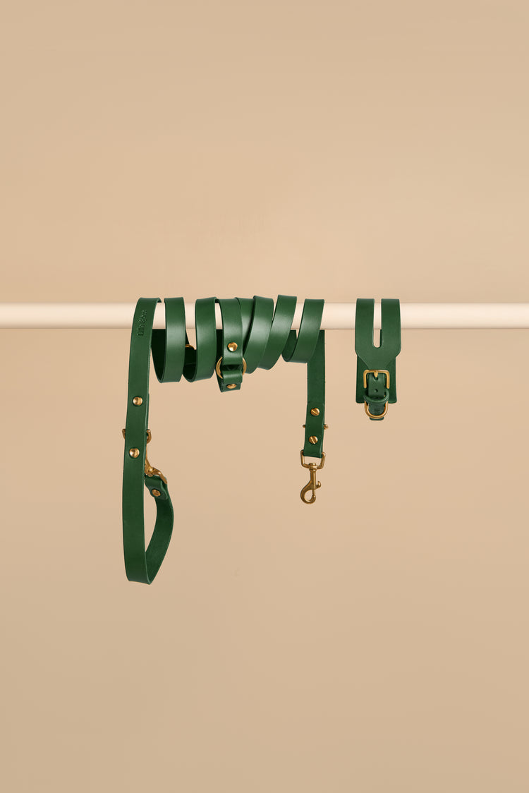 Wide Green Leather Dog Collar and Hands-Free Leash Set - Aeris