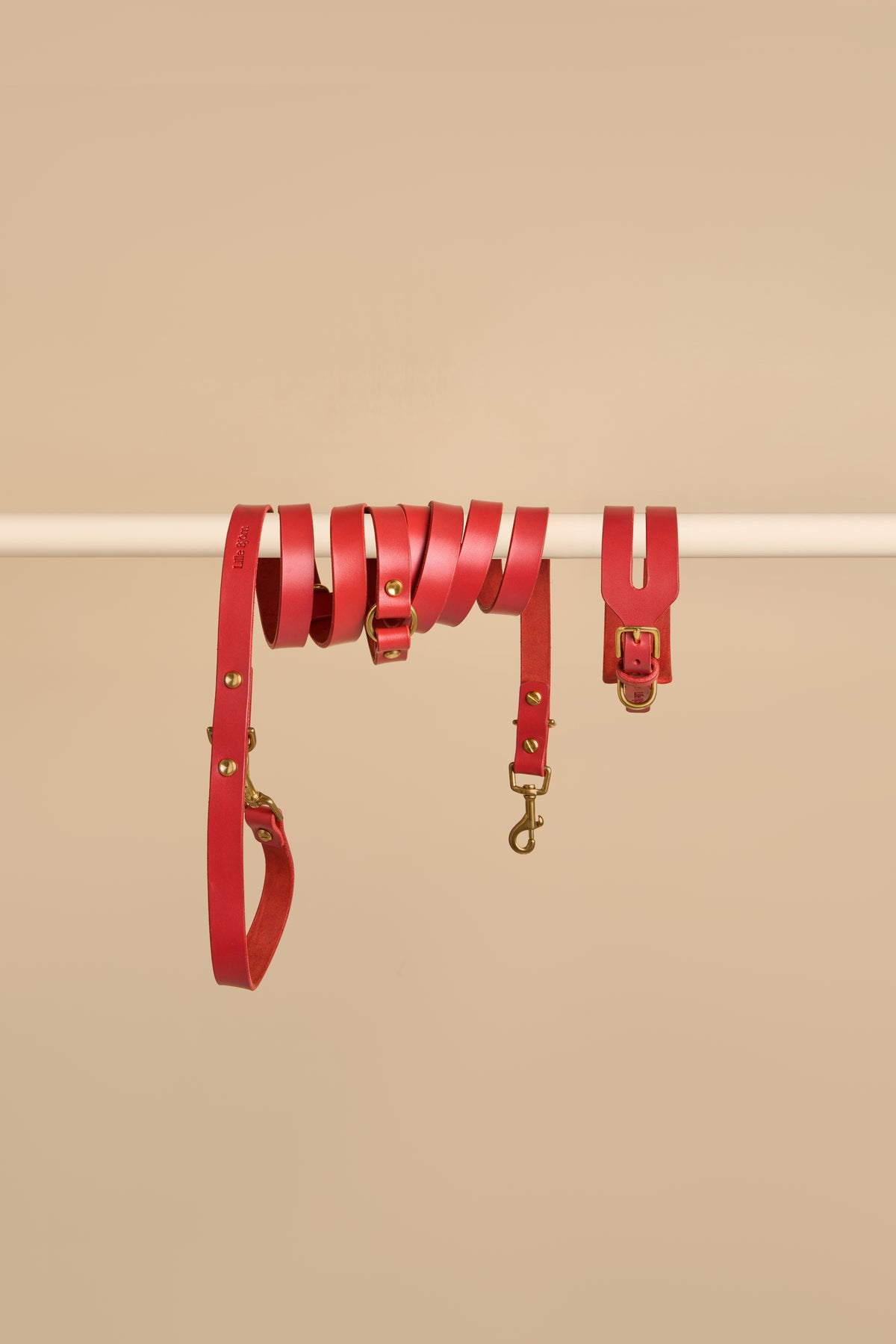 Aeris Wide Red Leather Dog Collar and Omni Red Leather Dog Leash Walk Kit featuring premium Italian leather with a wide collar and versatile Omni Leash, combining strength and style