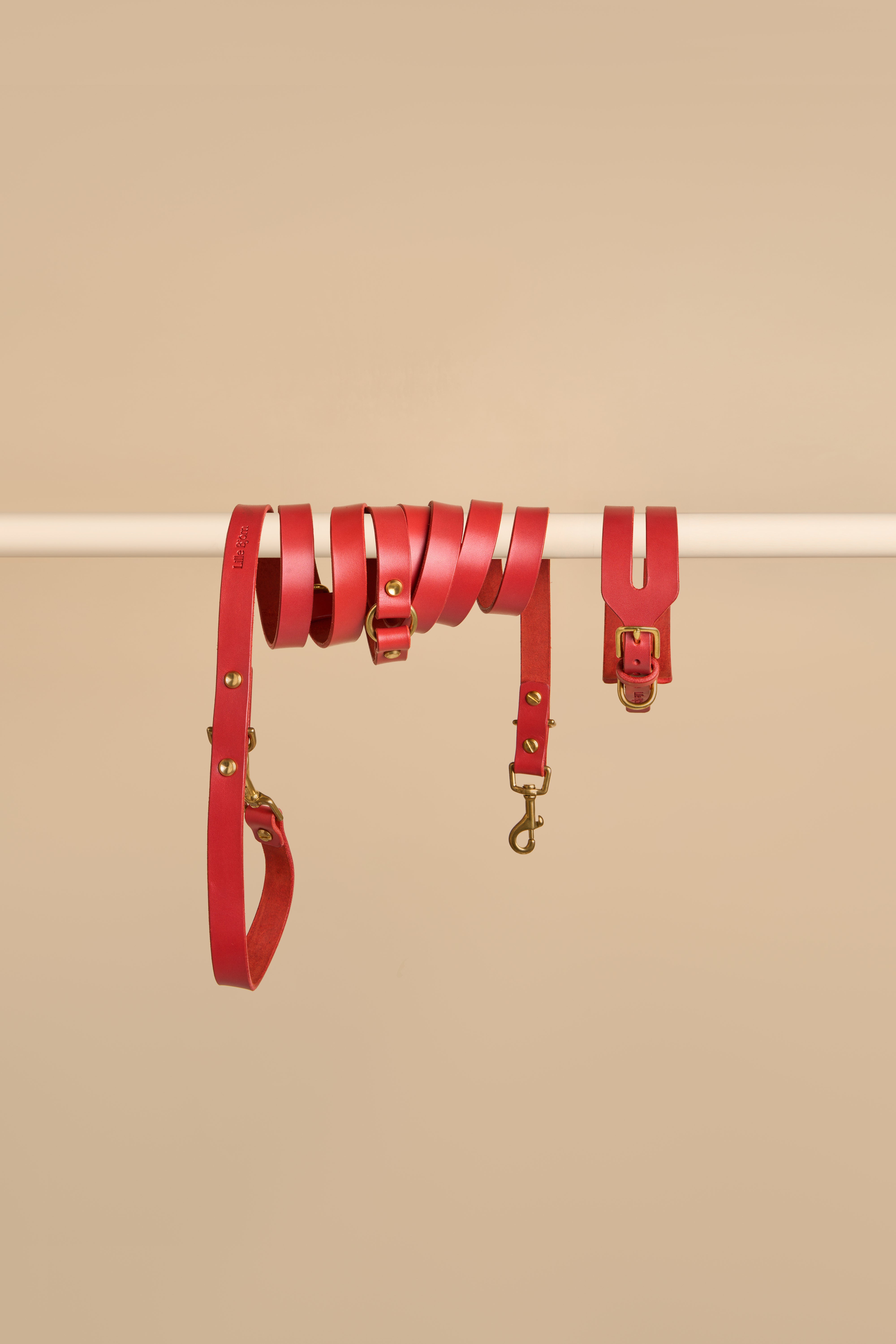 Aeris Wide Collar & Omni Leash in Red