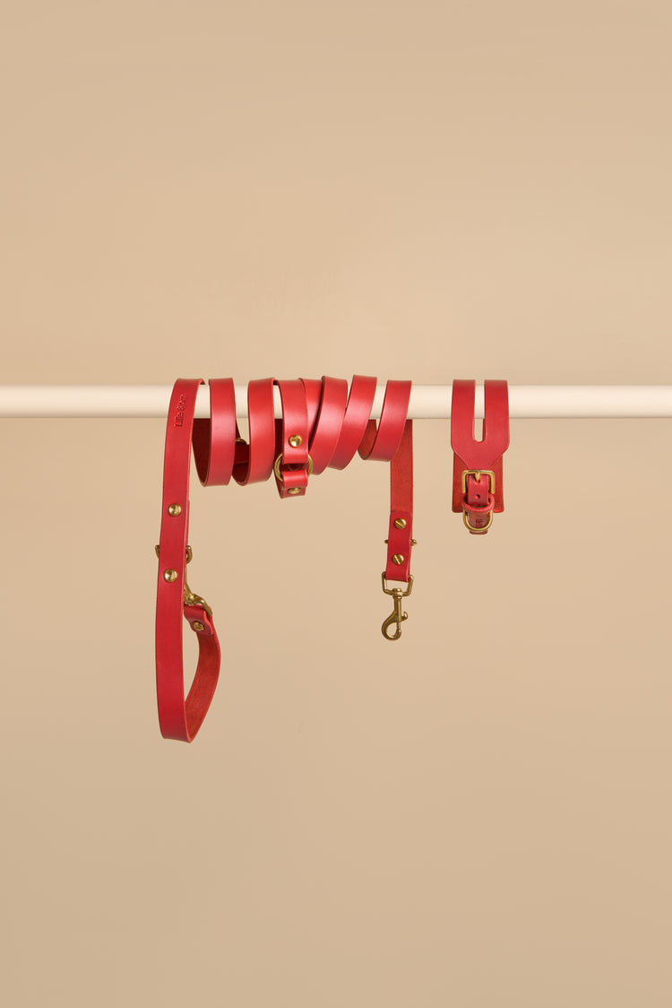 Wide Red Leather Dog Collar and Hands-Free Leash Set - Aeris