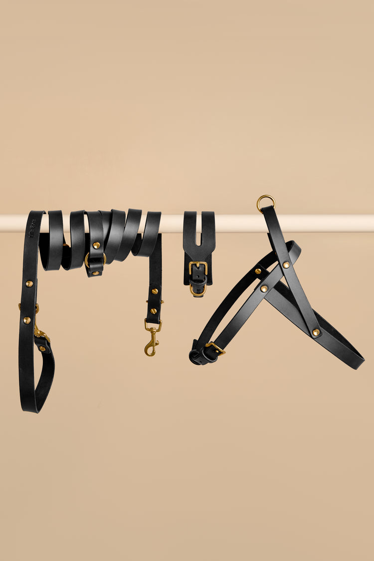 Wide Black Leather Dog Collar, Hands-Free Leash and Harness Set - Aeris