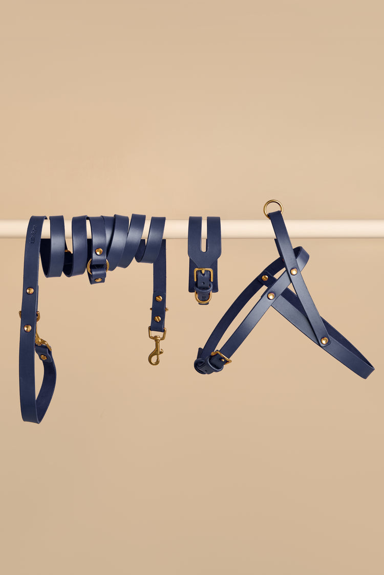 Wide Blue Leather Dog Collar, Hands-Free Leash and Harness Set - Aeris