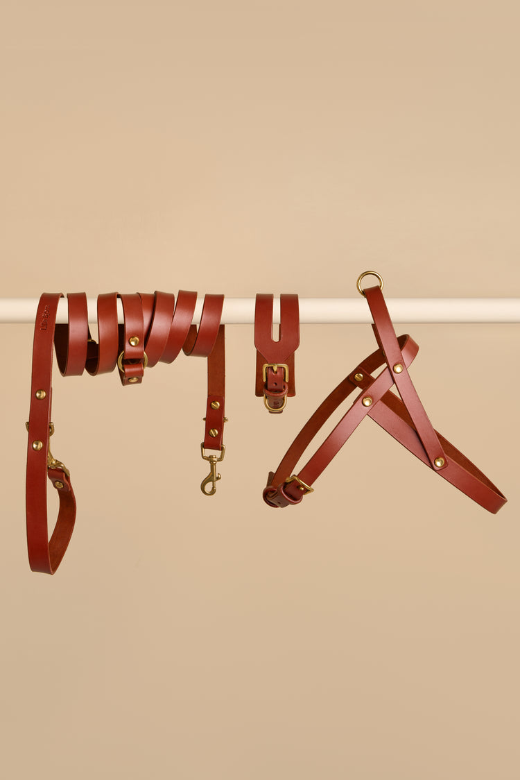Wide Brown Leather Dog Collar, Hands-Free Leash and Harness Set - Aeris