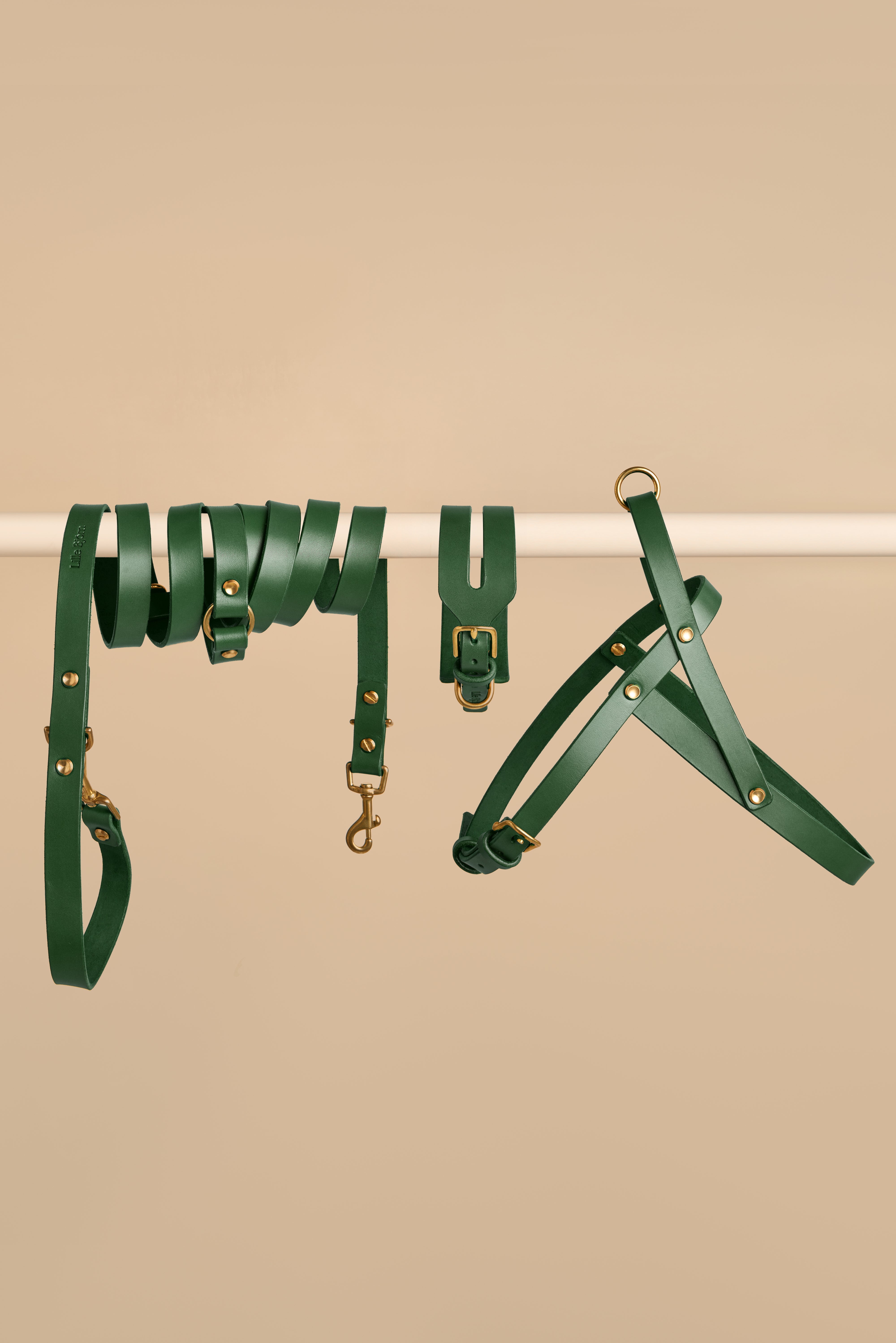 Aeris Wide Collar & Omni Leash & Vero Harness in Green