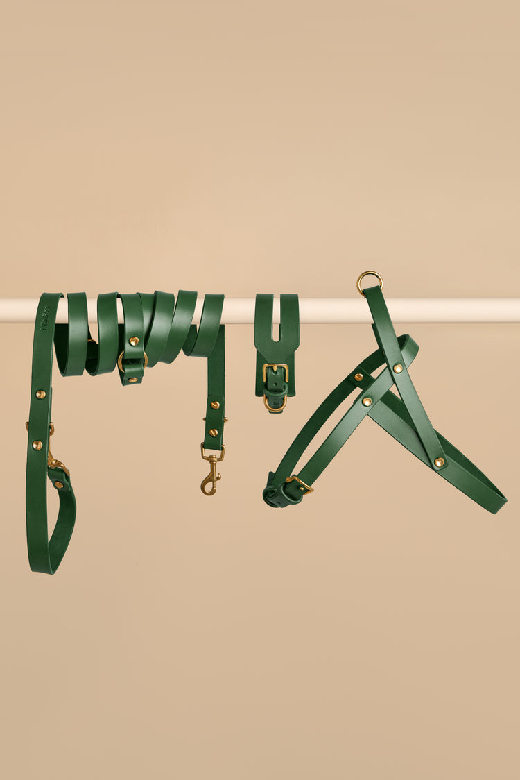 Wide Green Leather Dog Collar, Hands-Free Leash and Harness Set - Aeris