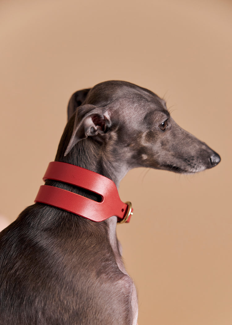 Wide Red Leather Dog Collar - Aeris