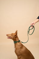 Aeris Wide Green Leather Dog Collar paired with a matching Classic Green Leather Dog Leash, made from durable Italian leather, designed for large breed dogs