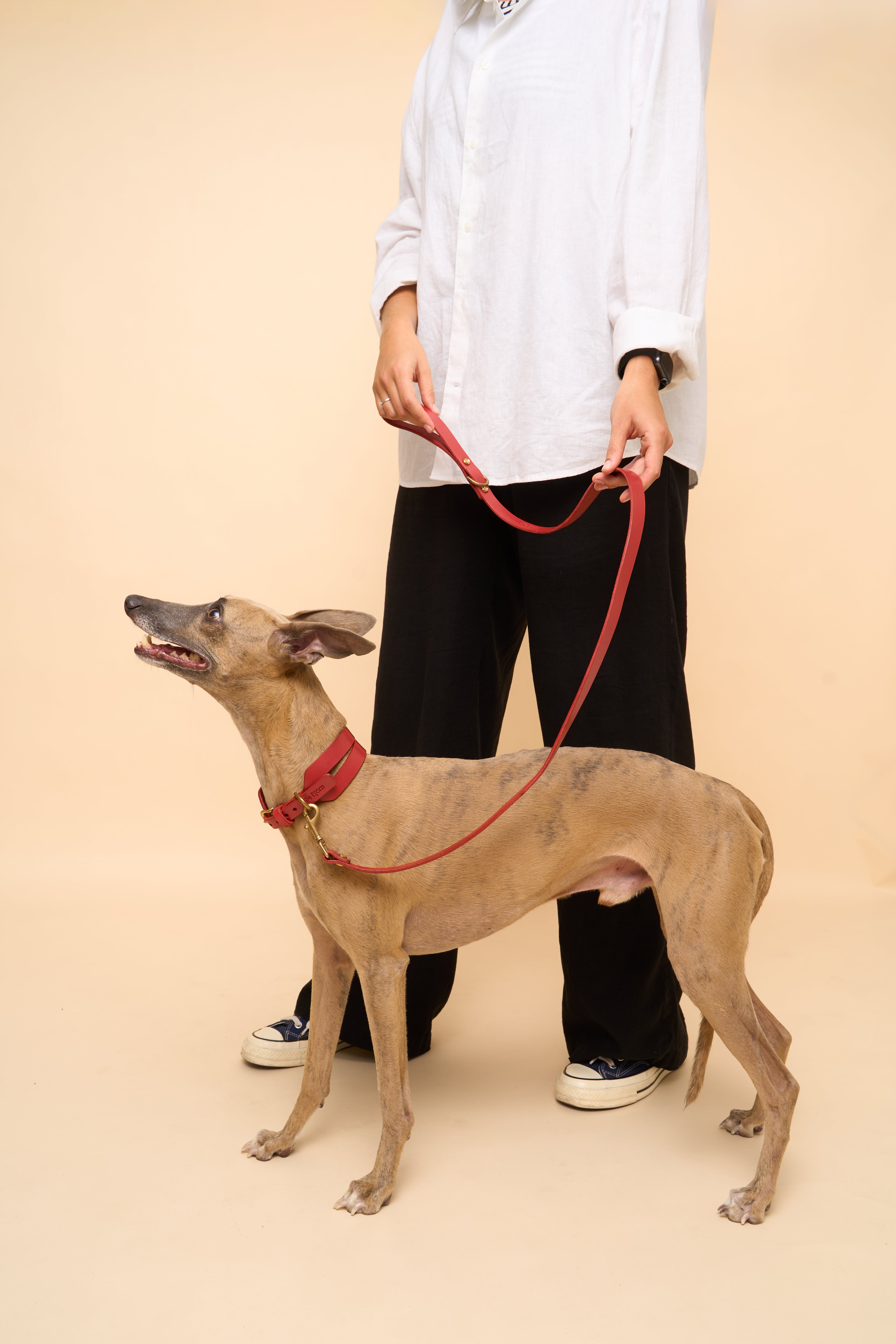 Aeris Wide Collar & Classic Leash in Red