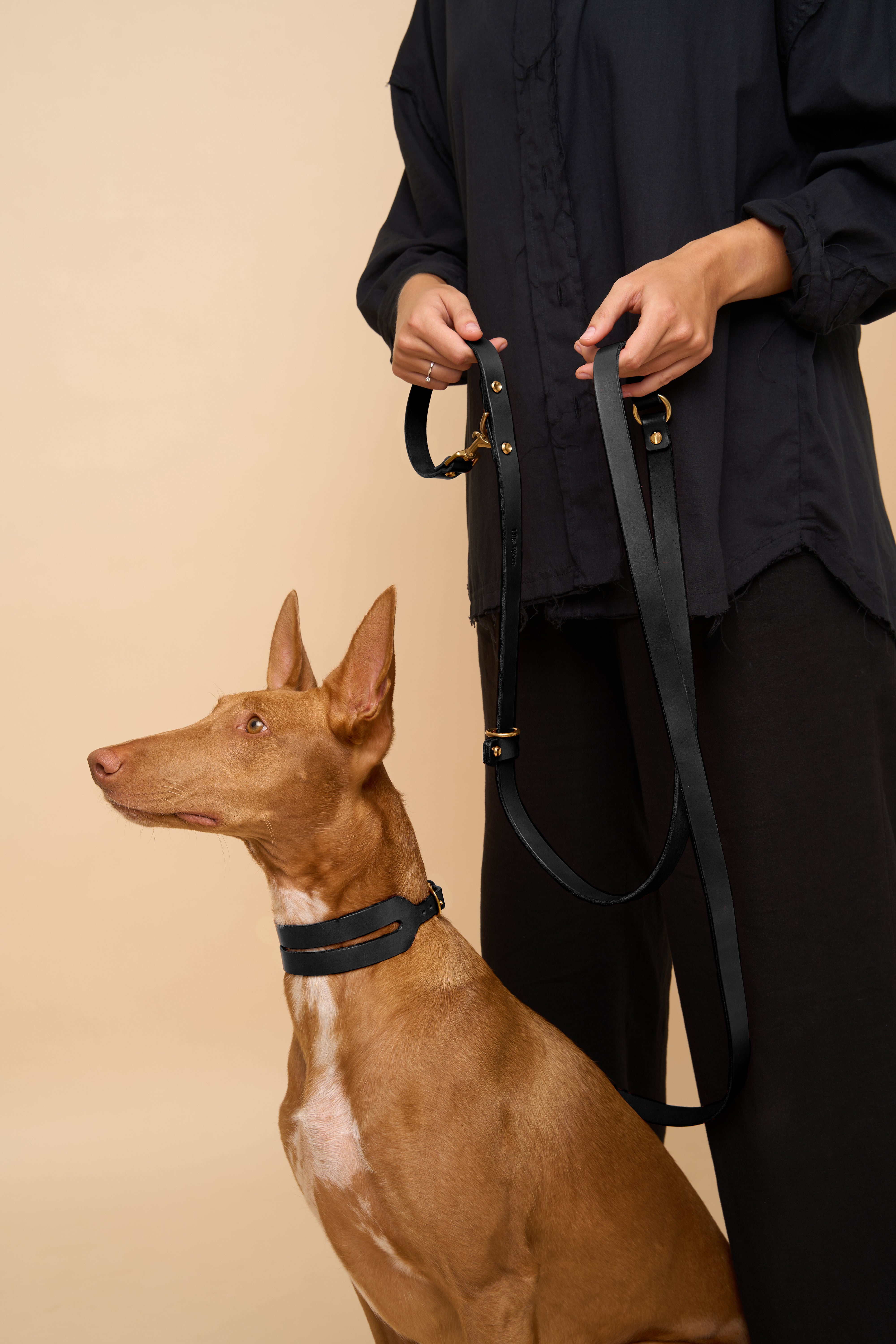 Aeris Wide Collar & Omni Leash & Vero Harness in Black