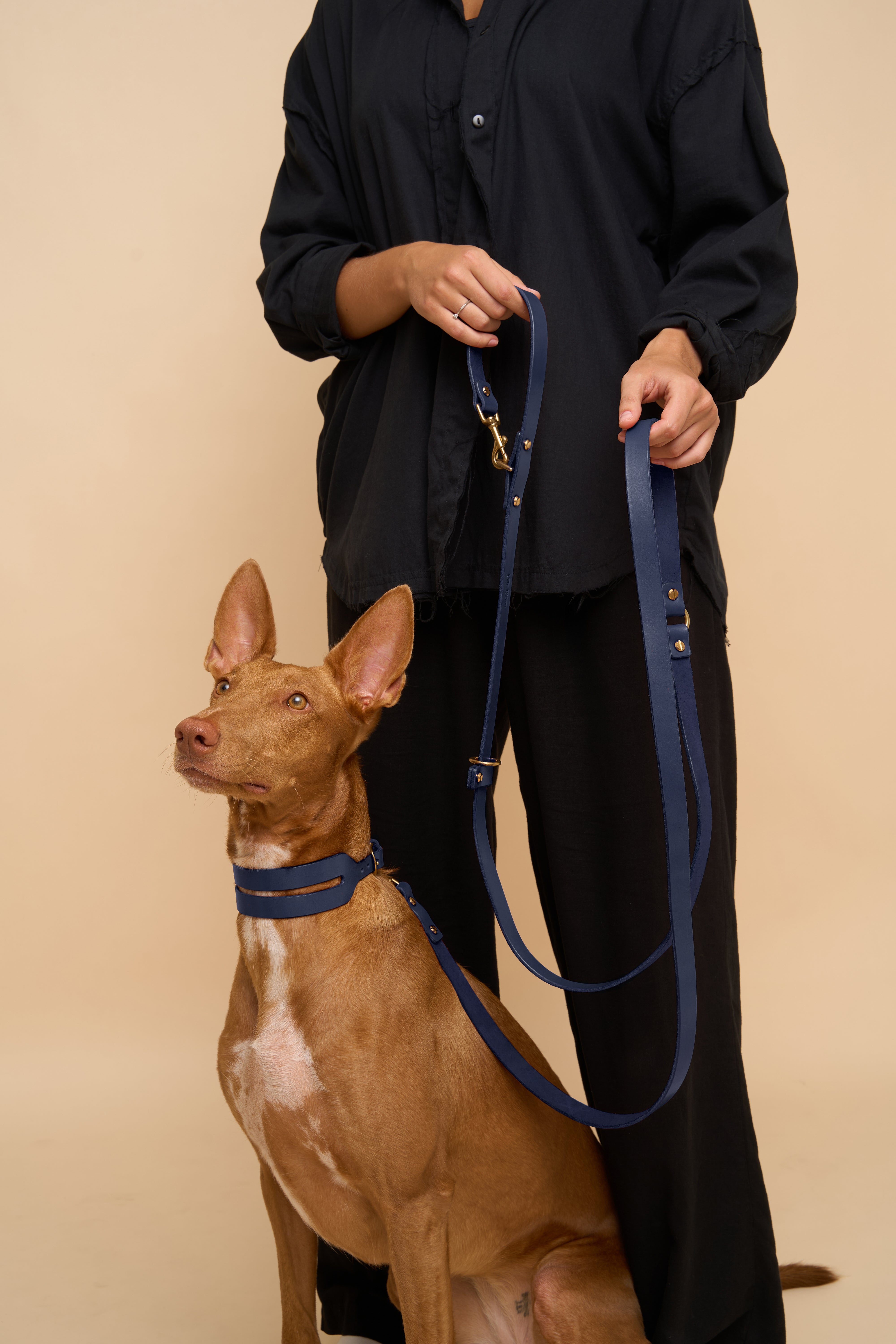 Aeris Wide Collar & Omni Leash in Blue