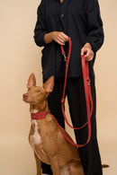 Omni Red Leather Dog Leash with Aeris Wide Red Leather Dog Collar, providing strength and durability with Italian craftsmanship, designed for big dogs.