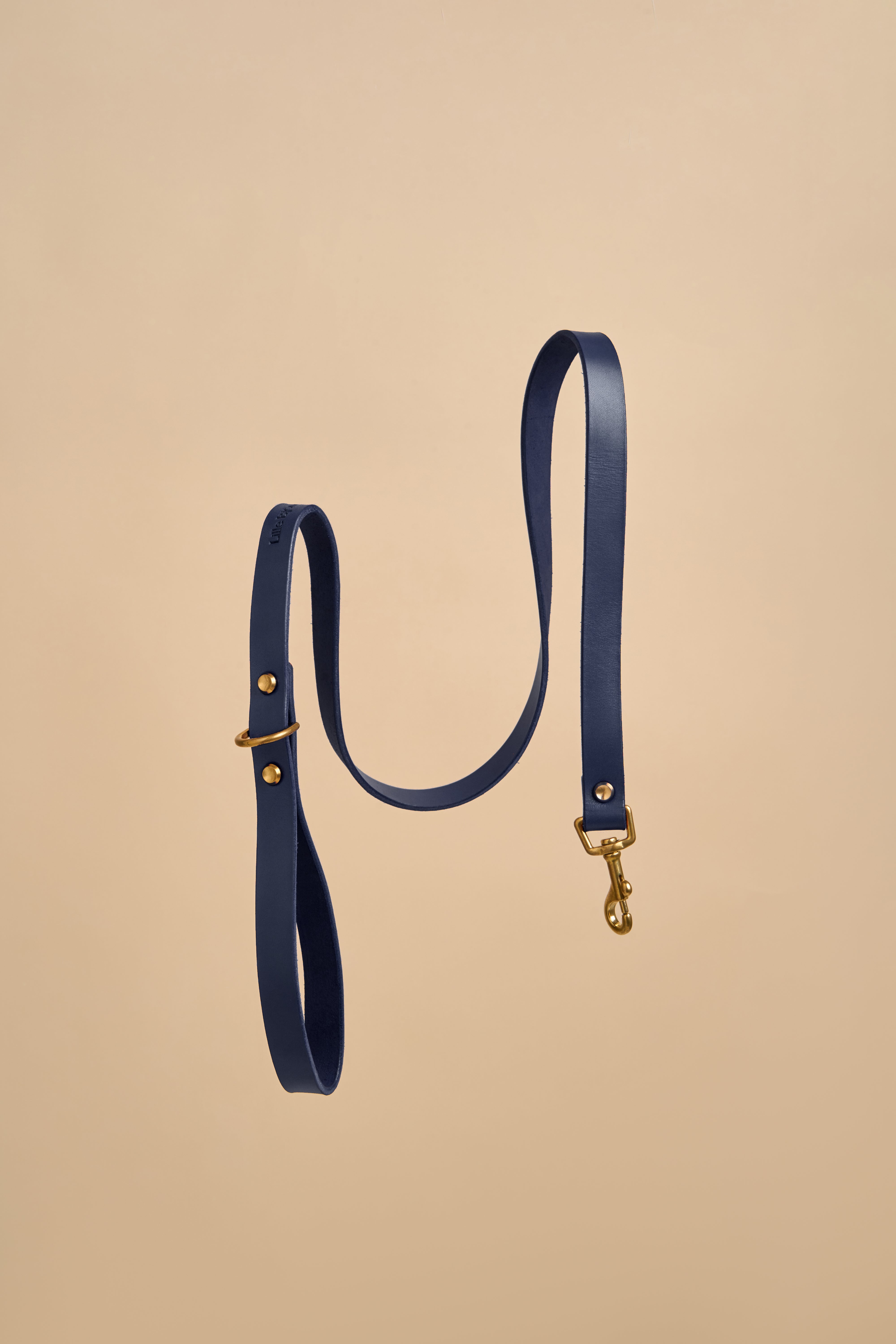 Classic Dog Leash in Blue