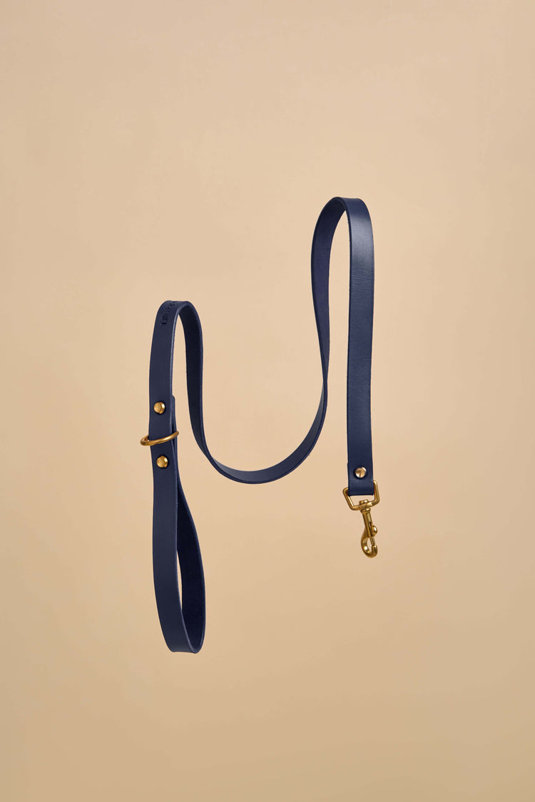 Classic Blue Leather Dog Leash