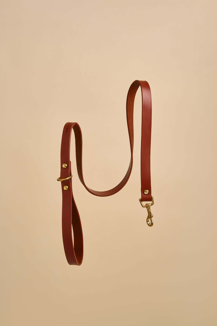 Classic Brown Leather Dog Leash