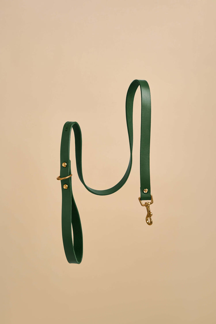Classic Green Leather Dog Leash