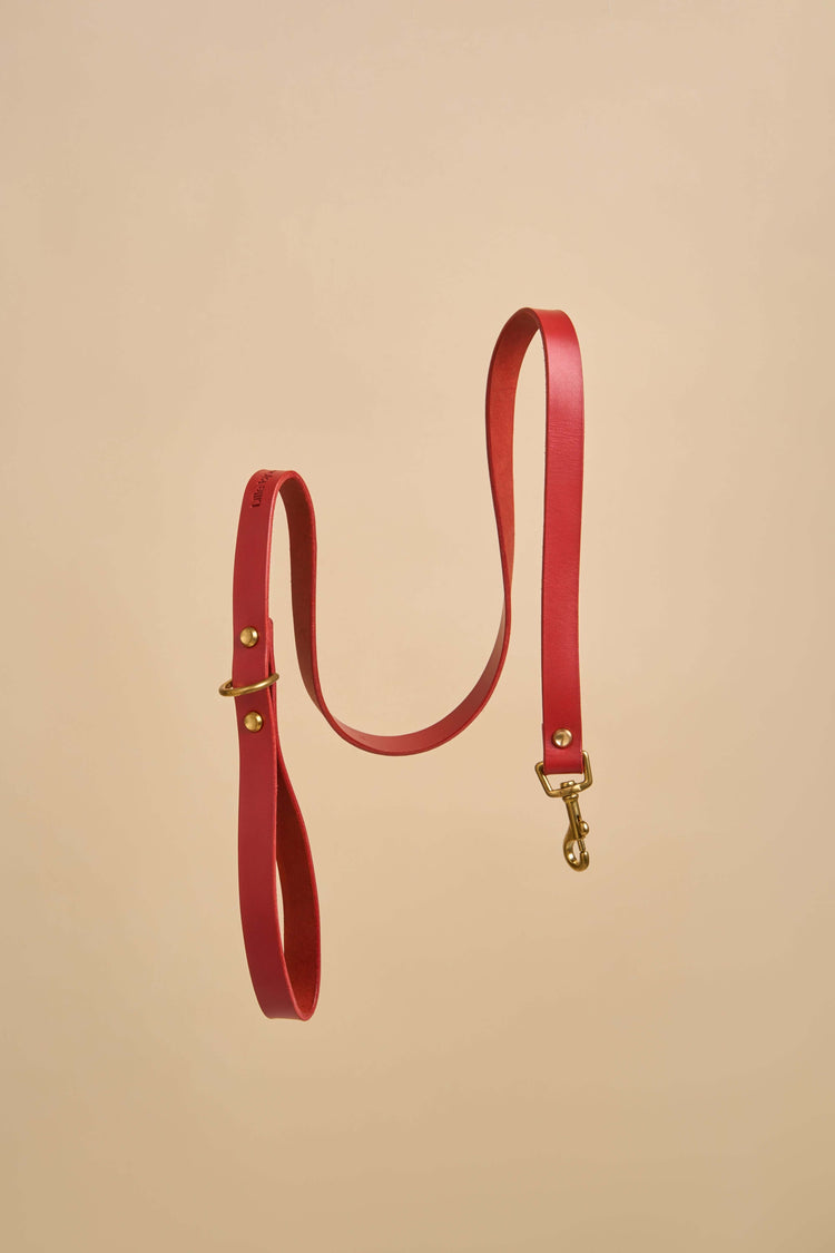Classic Red Leather Dog Leash