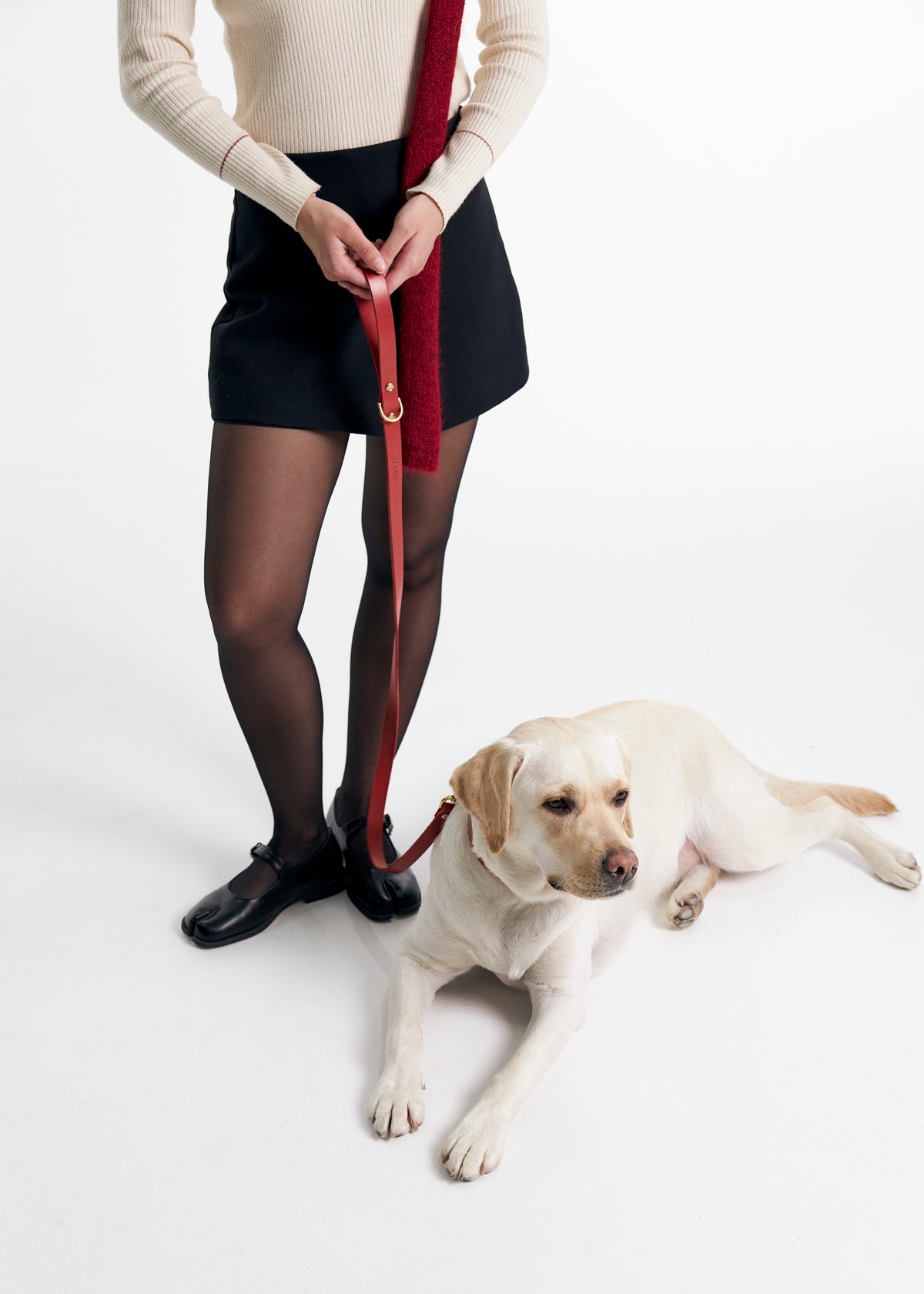 Classic leather dog leash in red 