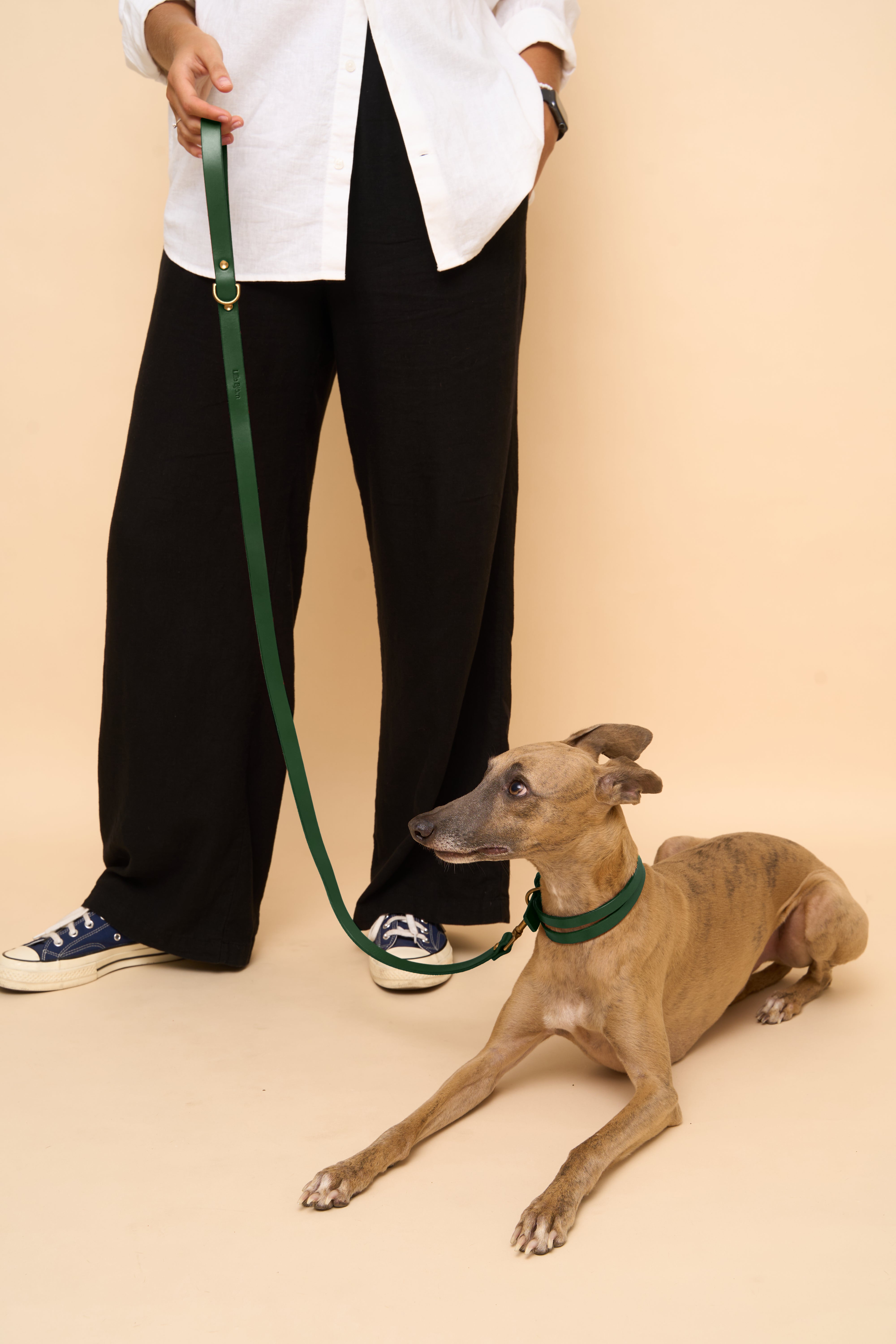 Aeris Classic Collar & Leash & Vero Harness in Green