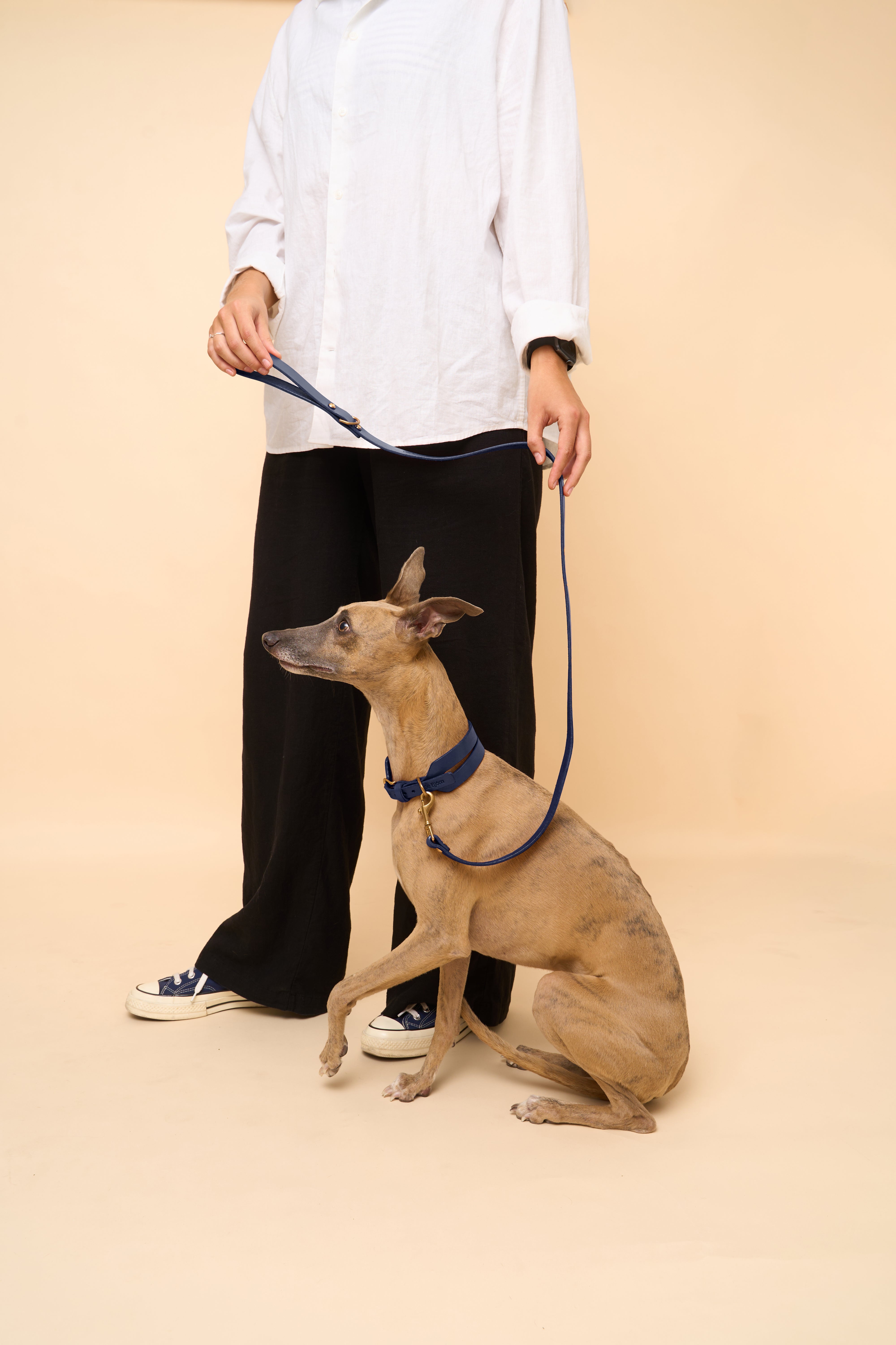 Aeris Wide Collar & Classic Leash in Blue