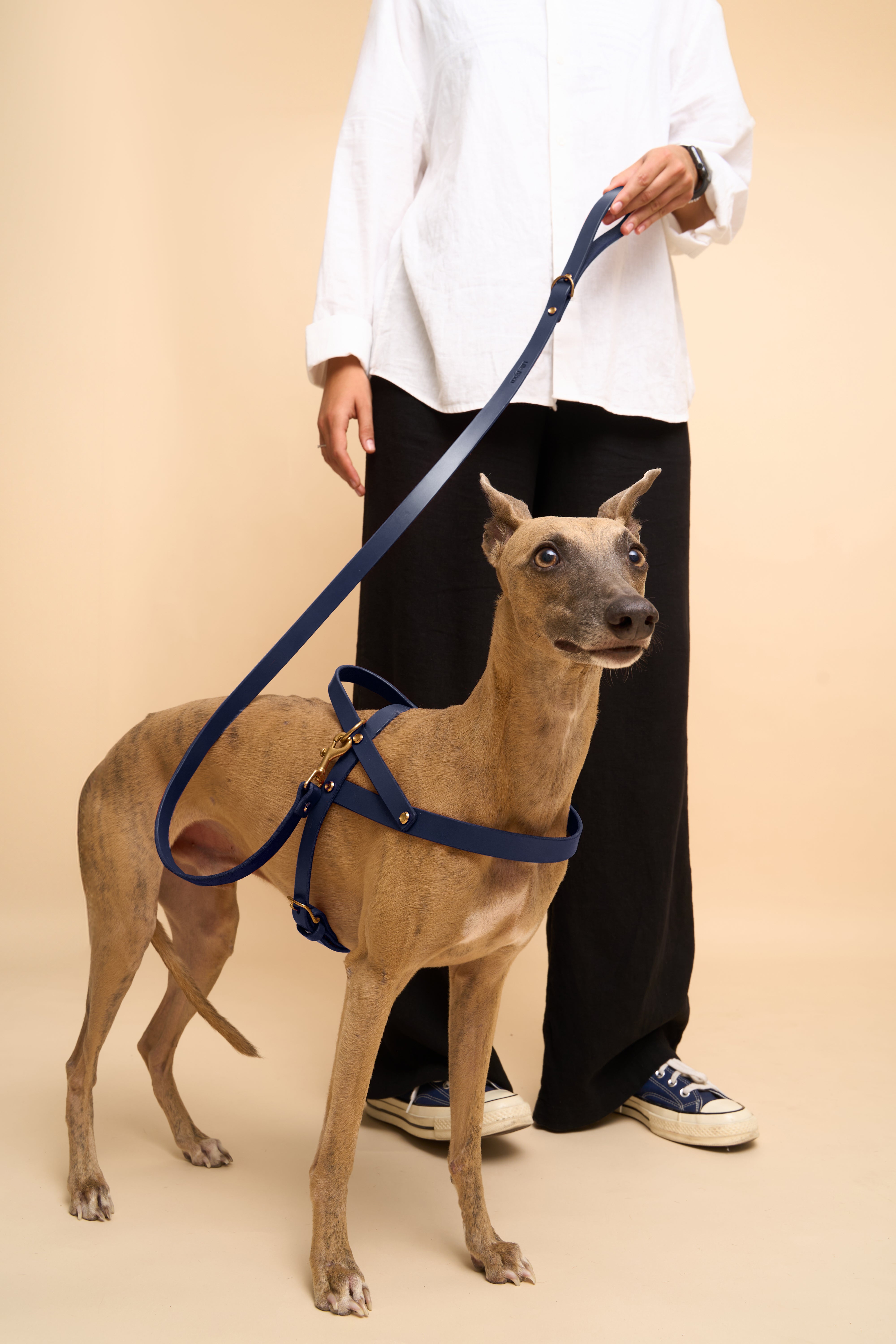 Vero Blue Leather Dog Harness paired with Classic Blue Dog Leash, made from premium Italian leather, ensuring secure and stylish dog walks