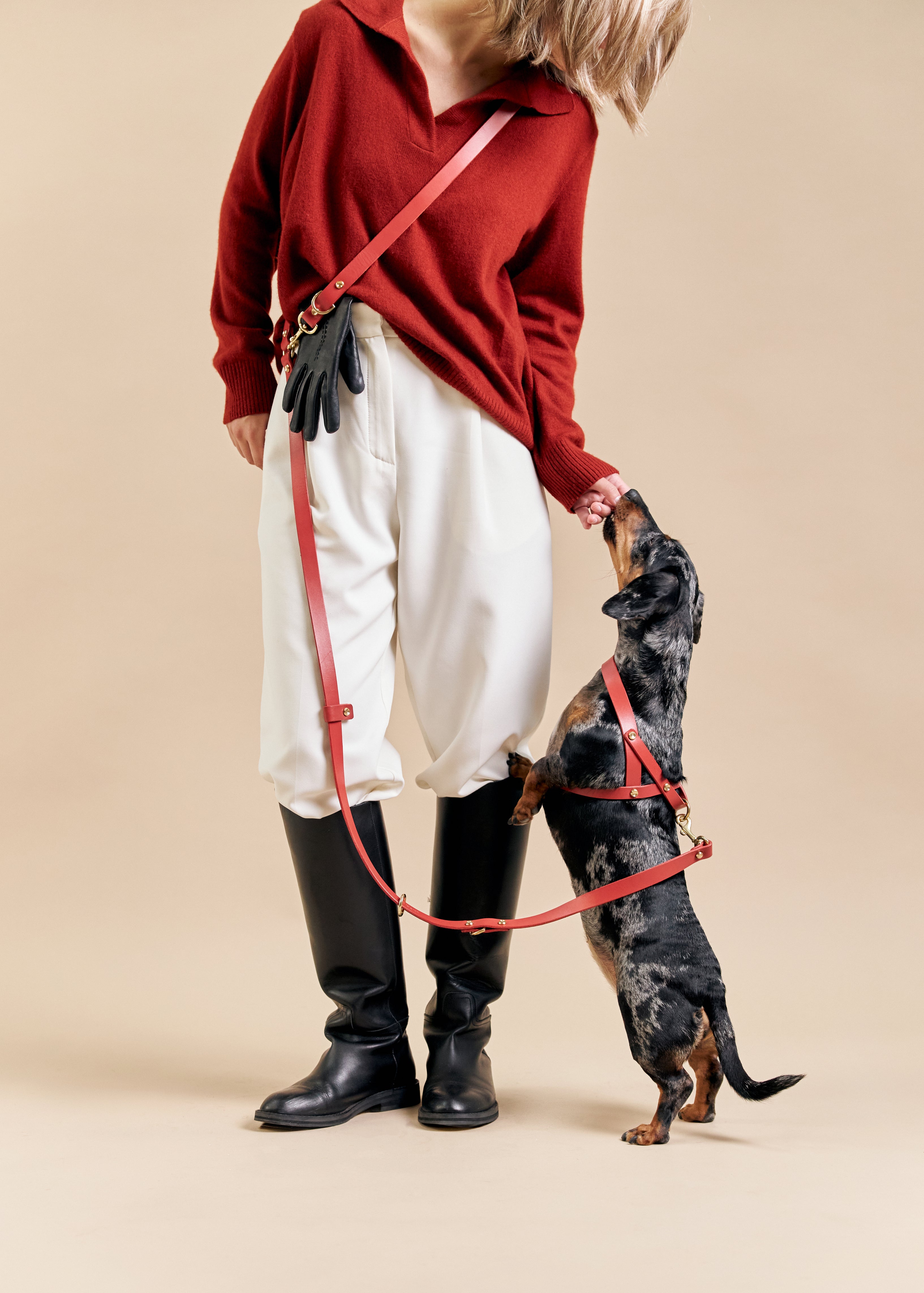 Vero Red Leather Harness with Omni Hands-Free Red Leash, designed for comfortable, hands-free walks using high-quality Italian leather