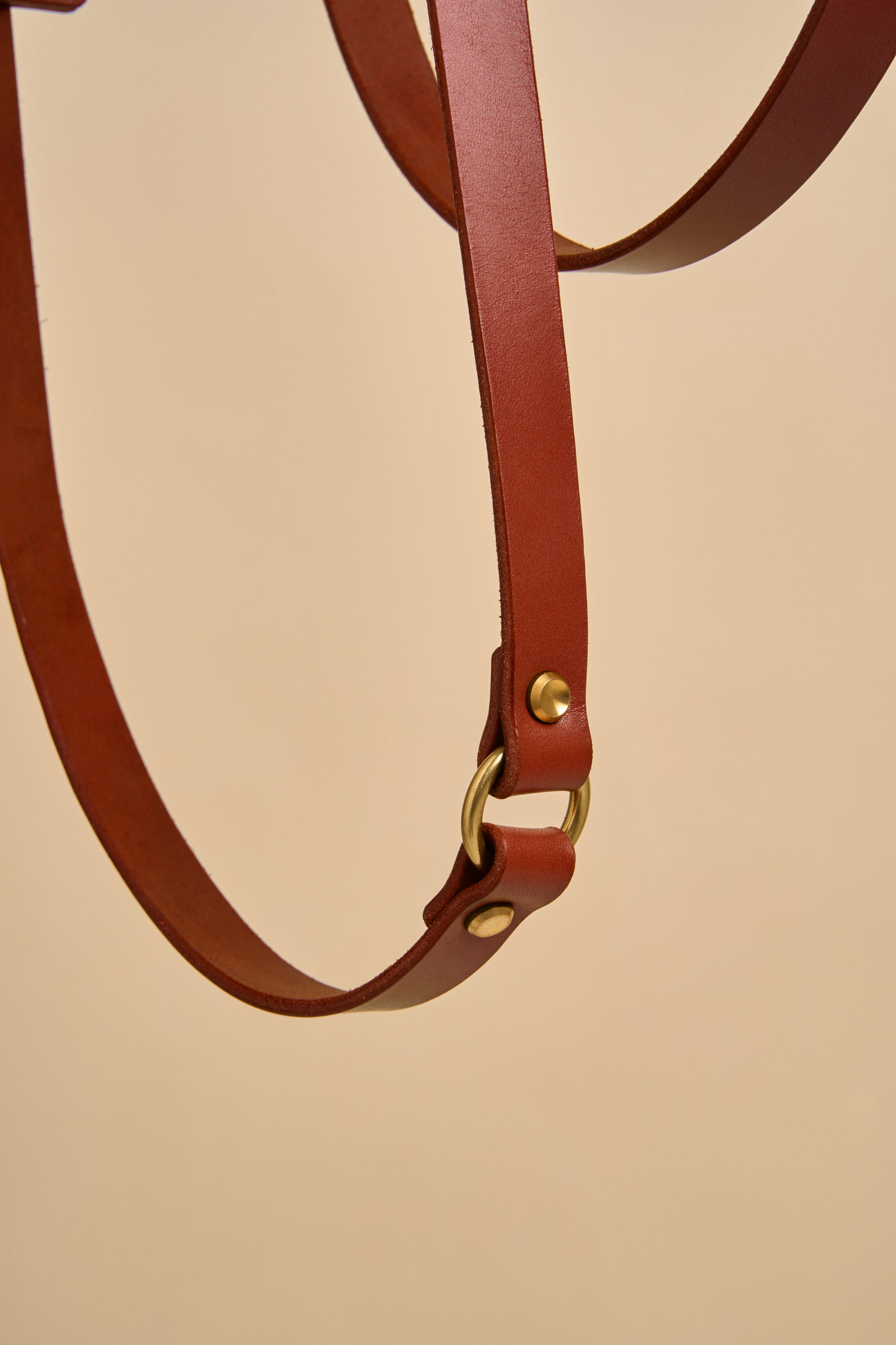 Close-up detail of Omni Cognac Leather Dog Leash for hands-free crossbody wear, featuring strong brass hardware