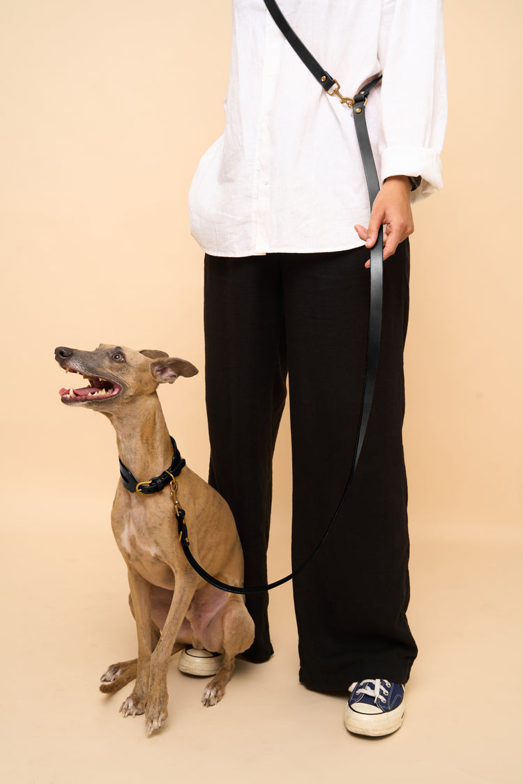 Wide Black Leather Dog Collar and Hands-Free Leash Set - Aeris