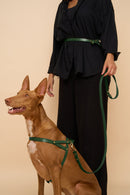 Omni Green Leather Dog Leash worn hands-free around the waist, with premium brass hardware and an adjustable design