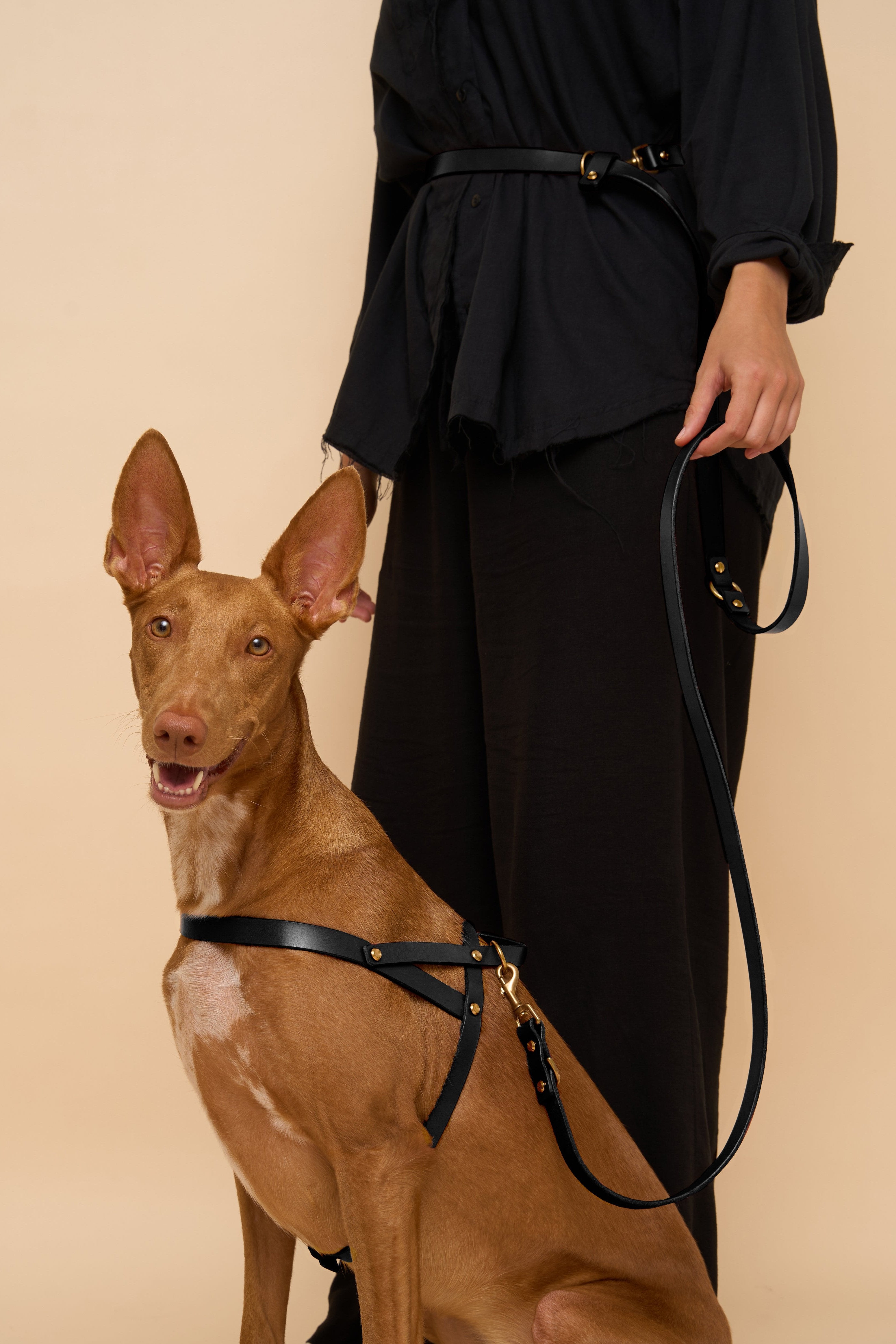 Omni Black Leather Dog Leash worn hands-free around the waist, featuring high-quality brass hardware and adjustable fit