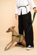 Omni Green Leather Dog Leash worn hands-free around the waist, featuring Italian craftsmanship and brass hardware