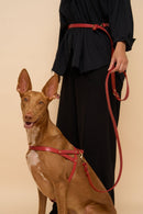 Omni Red Leather Dog Leash worn hands-free around the waist, made from premium Italian leather with strong brass hardware